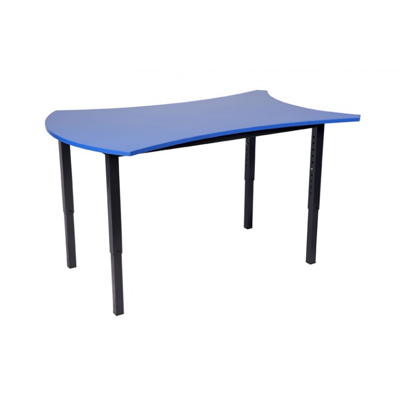Bone Educational Table with 25mm Top